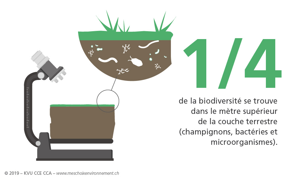 Mes_choix_envi_logement_Sols_FR_02